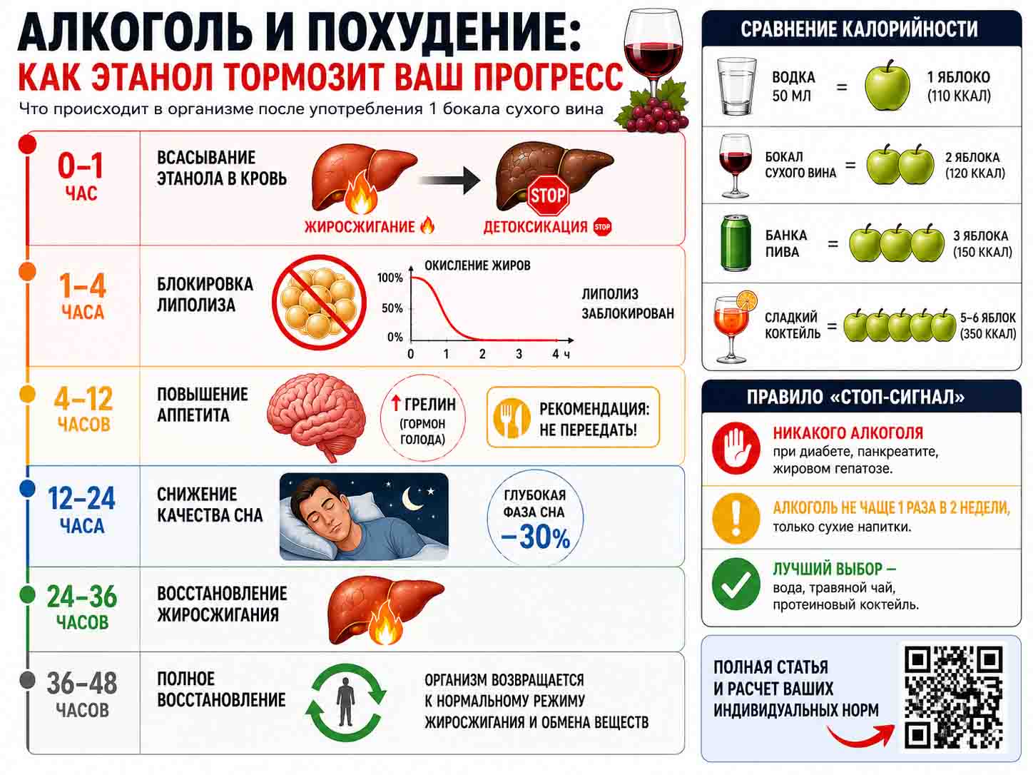 Инфографика рассказывающая про действие этанола в организме